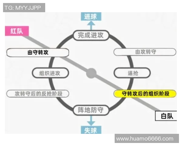 运动最新数据广州排球队反击战术深度解析与实战应用探讨