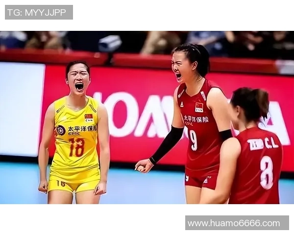 实时新闻南京排球队团队协作深度解析与其他球队的对比研究